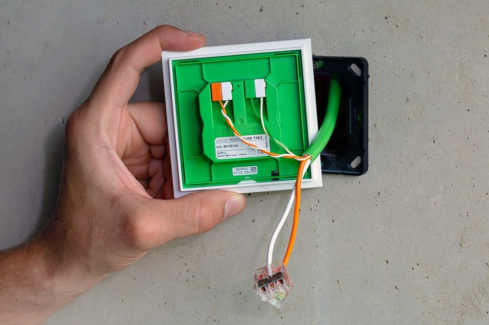 A Loxone Tree switch and its cabling in the hand of an installer